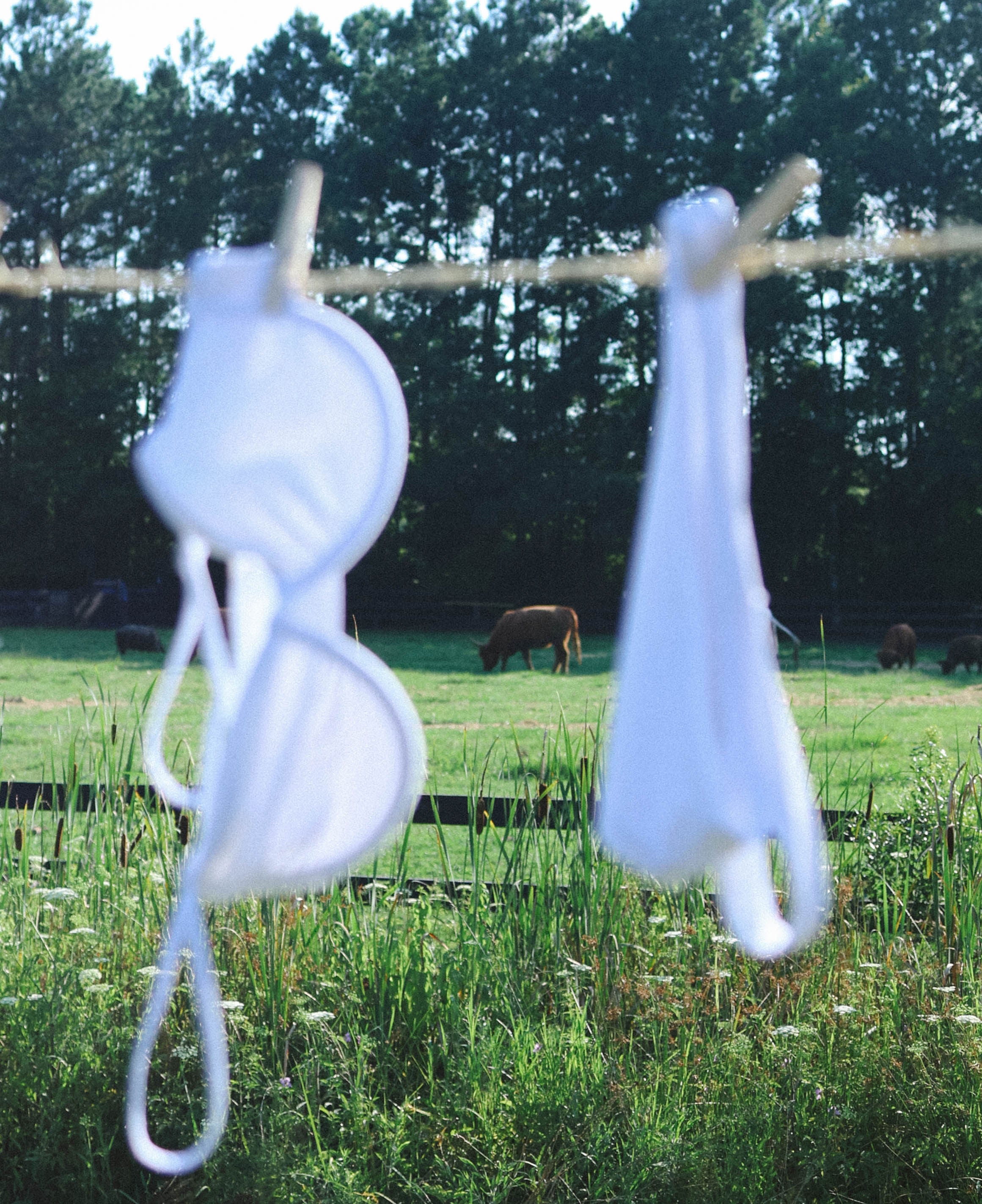 FINAL SALE - Shore Drive Bikini Bottom