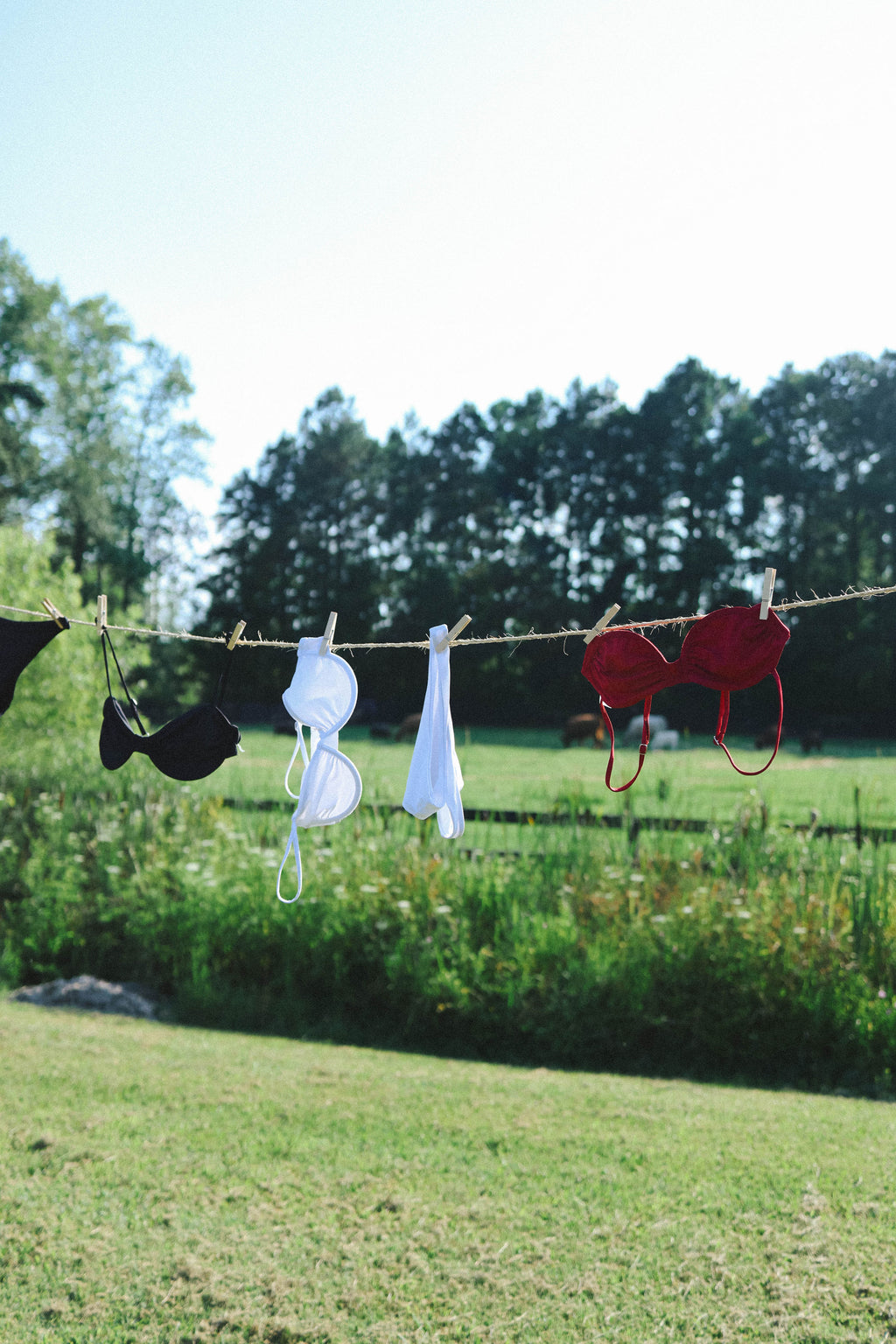 FINAL SALE - Shore Drive Bikini Bottom